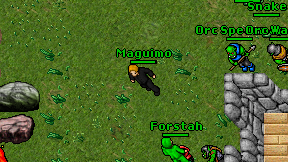 Maguimo on screen