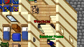 Wiechciu on screen