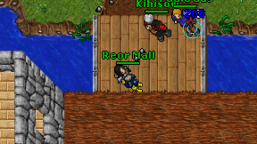Reor Mall on screen