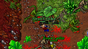 Neon Cricke on screen