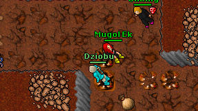 Dziobu on screen