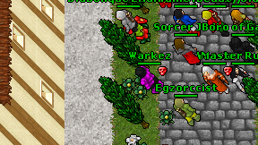 Warkez on screen