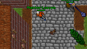 Master Luszyn on screen