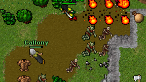 Callony on screen