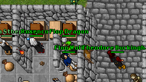 Flop Dragon on screen