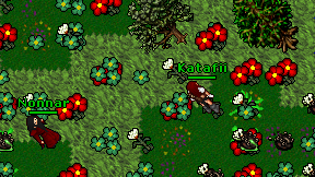 Katafii on screen