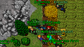 Leon Site on screen