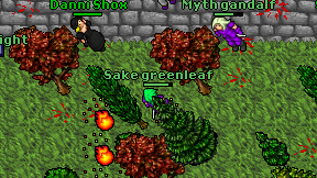 Sake greenleaf on screen