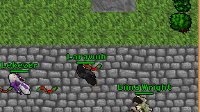 Larawub on screen
