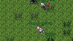 Master Zolwik on screen