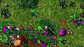 Duinhir on screen