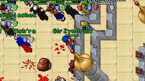 Sir Zyndram on screen