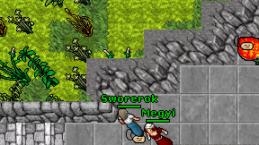 Sworerok on screen