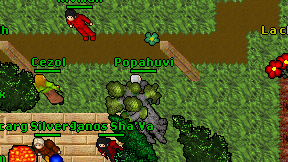 Popahuvi on screen