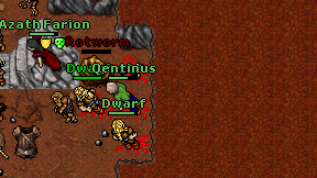 Qentinus on screen