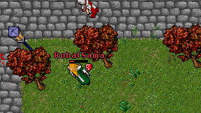 Robal Sama on screen