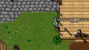 Fioletowy Teletubis on screen