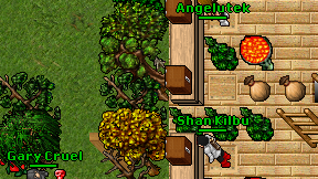 Angelutek on screen