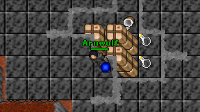 Arnwolf on screen