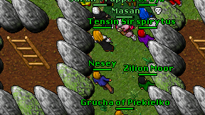 Nesey on screen