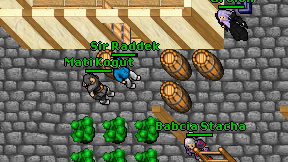 Mati Kogut on screen