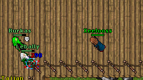 Xeelooss on screen