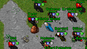 Miste druid on screen