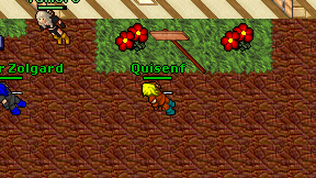 Quisenf on screen