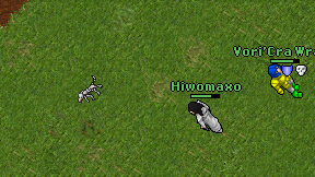 Hiwomaxo on screen