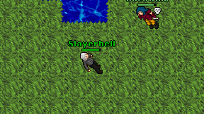 Slayerhell on screen