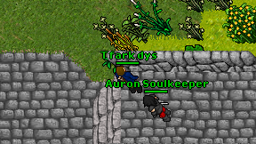 Tfark dys on screen