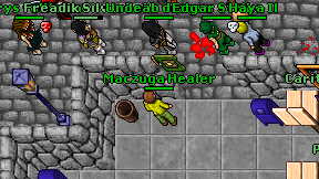 Maczuga Healer on screen