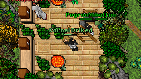 Kornel Driked on screen