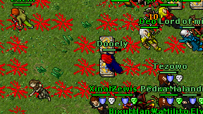 Dooely on screen