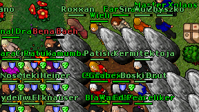 Wieli on screen