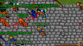 Pachmina on screen