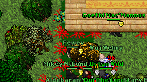 Fewev on screen