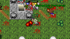 Myll on screen