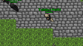 Toldea Volti on screen