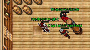 Hallow Knight on screen