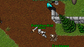 Paladyn Rid on screen