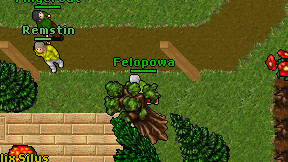Felopowa on screen