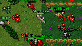 Sha Nera on screen