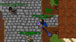Frog Fighter on screen