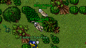 Oftergap on screen