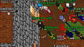 Oak'Druid on screen