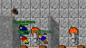 Majkumen on screen