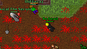 Vo Devil on screen