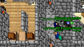 Xarki on screen