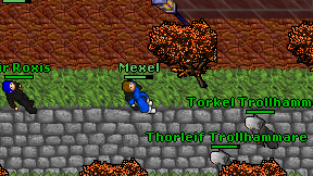 Mexel on screen